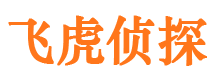 河口区市私家侦探公司